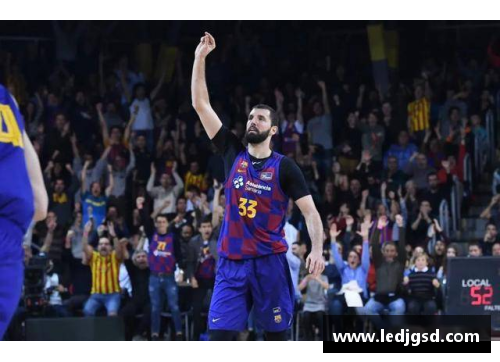 掌中彩NBA麦考：探索他如何塑造了篮球和文化的交汇点 - 副本