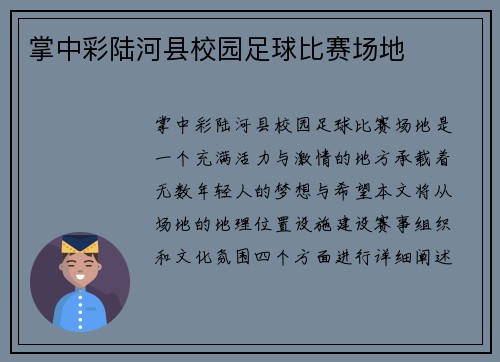 掌中彩陆河县校园足球比赛场地