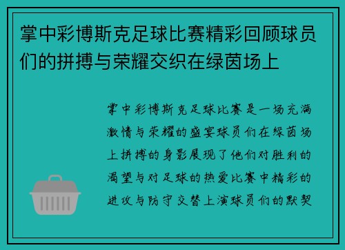 掌中彩博斯克足球比赛精彩回顾球员们的拼搏与荣耀交织在绿茵场上
