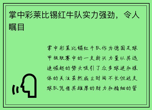 掌中彩莱比锡红牛队实力强劲，令人瞩目