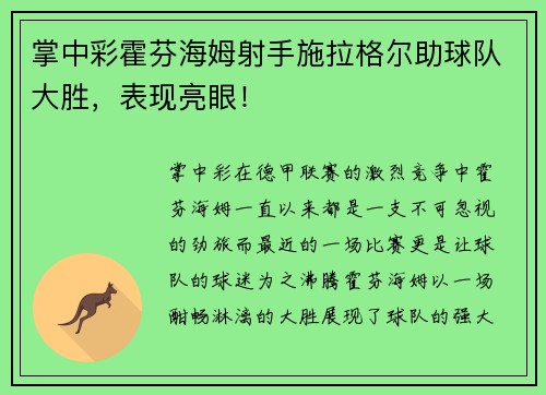 掌中彩霍芬海姆射手施拉格尔助球队大胜，表现亮眼！