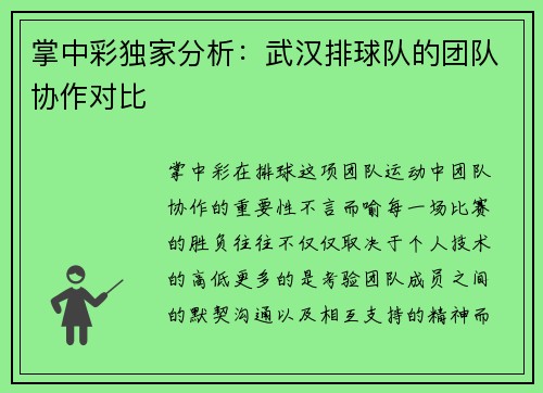 掌中彩独家分析：武汉排球队的团队协作对比
